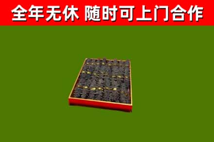 临朐回收海参